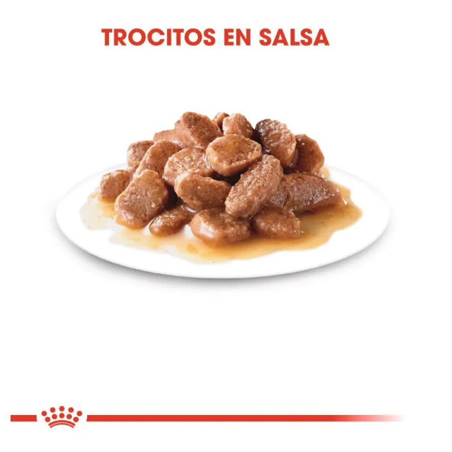Royal Canin Instinctive sobres en salsa para gatos