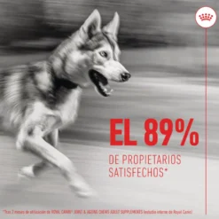 Royal Canin Joint & Ageing Chews Suplemento Nutricional para perros senior