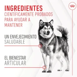 Royal Canin Joint & Ageing Chews Suplemento Nutricional para perros senior