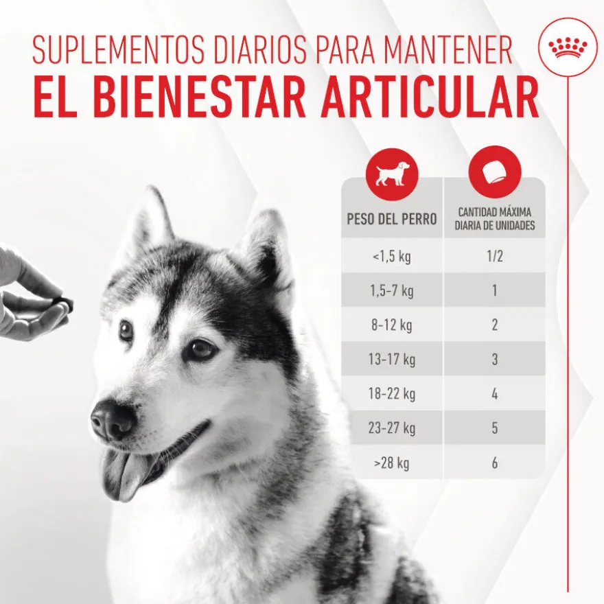 Royal Canin Joint & Ageing Chews Suplemento Nutricional para perros senior