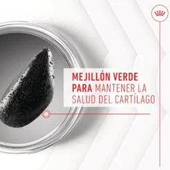Royal Canin Joint & Ageing Chews Suplemento Nutricional para perros senior