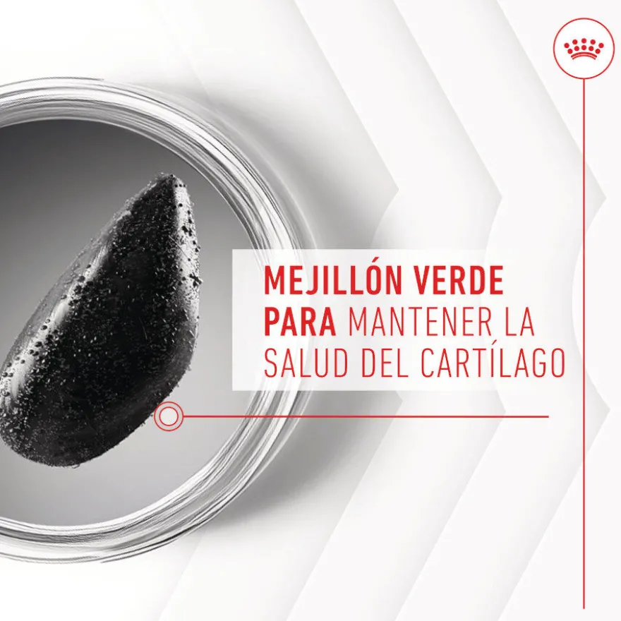 Royal Canin Joint & Ageing Chews Suplemento Nutricional para perros senior
