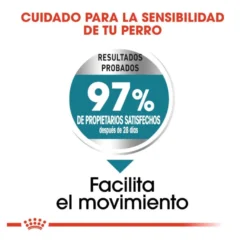 Royal Canin Joint Care Maxi pienso para perros