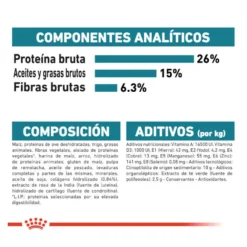 Royal Canin Joint Care Maxi pienso para perros