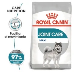 Royal Canin Joint Care Maxi pienso para perros