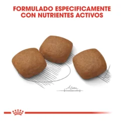 Royal Canin Joint Care Maxi pienso para perros