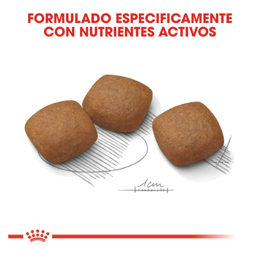 Royal Canin Joint Care Maxi pienso para perros