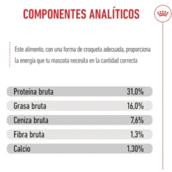 Royal Canin Junior Giant pienso para perros