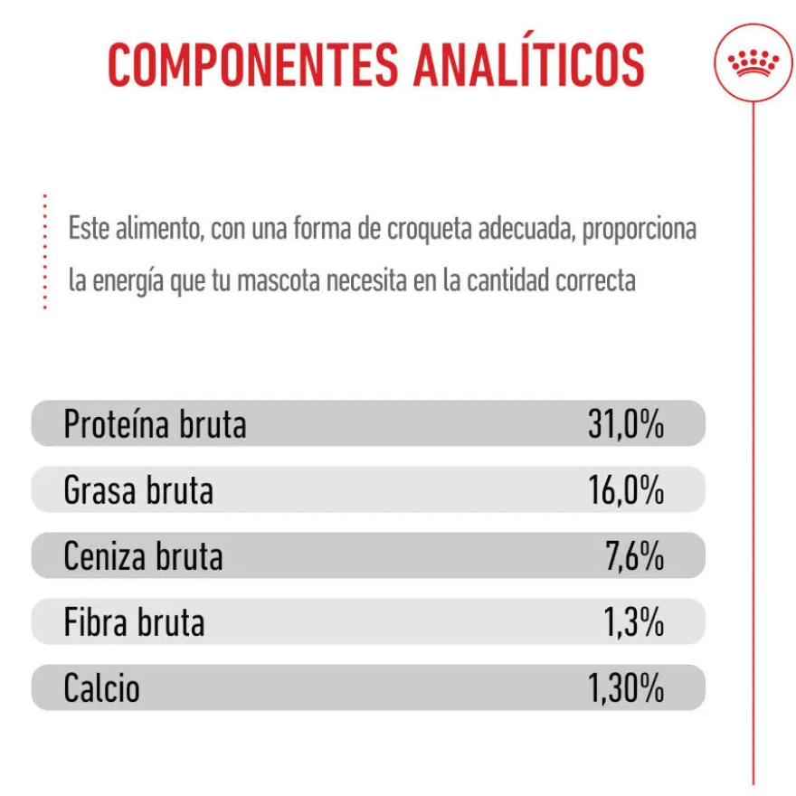 Royal Canin Junior Giant pienso para perros