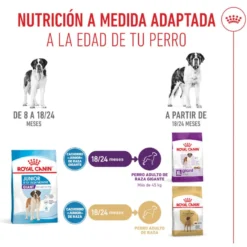 Royal Canin Junior Giant pienso para perros