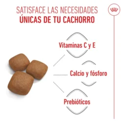 Royal Canin Junior Giant pienso para perros