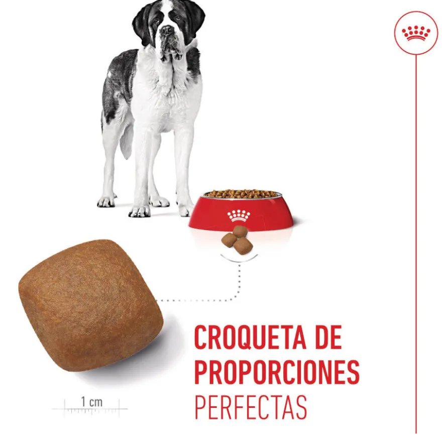 Royal Canin Junior Giant pienso para perros