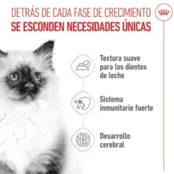 Royal Canin Kitten comida húmeda en gelatina sobre para gatos