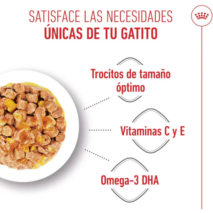 Royal Canin Kitten comida húmeda en gelatina sobre para gatos