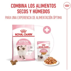 Royal Canin Kitten comida húmeda en gelatina sobre para gatos