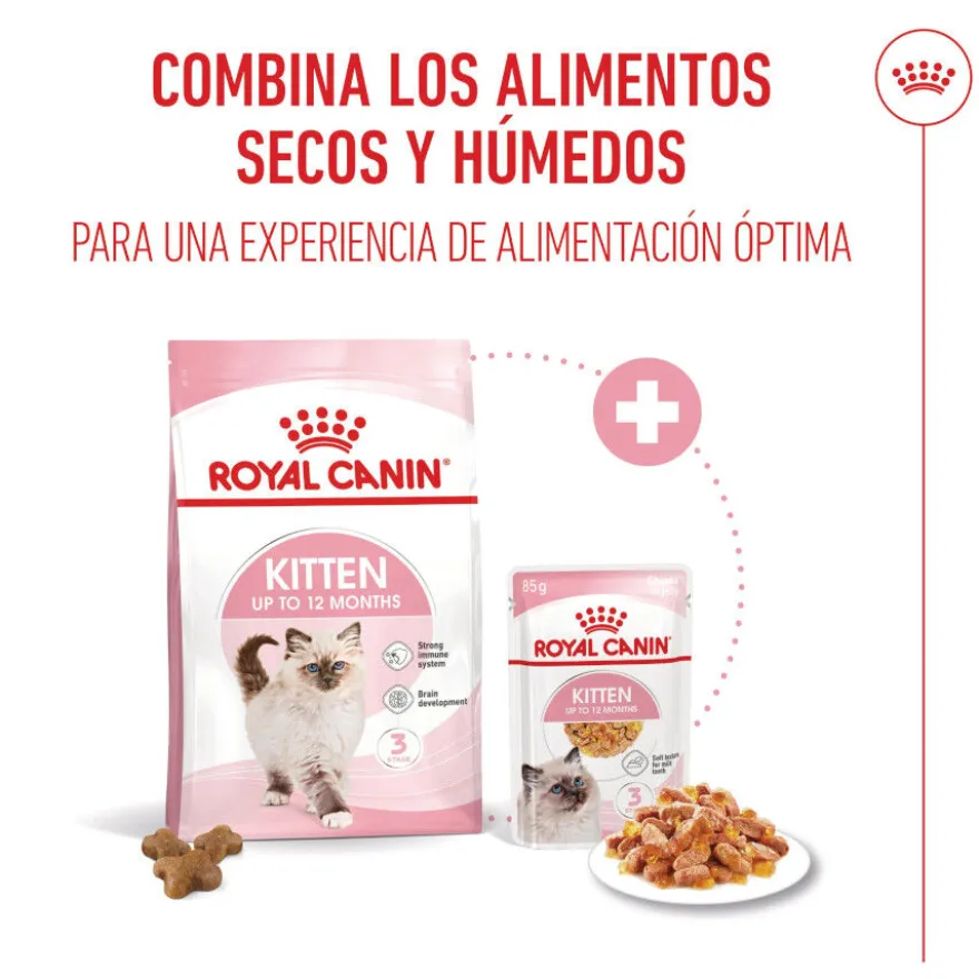 Royal Canin Kitten comida húmeda en gelatina sobre para gatos