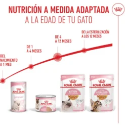 Royal Canin Kitten comida húmeda en gelatina sobre para gatos
