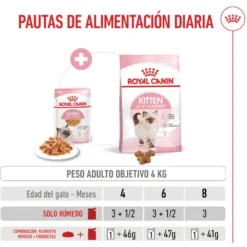 Royal Canin Kitten comida húmeda en gelatina sobre para gatos
