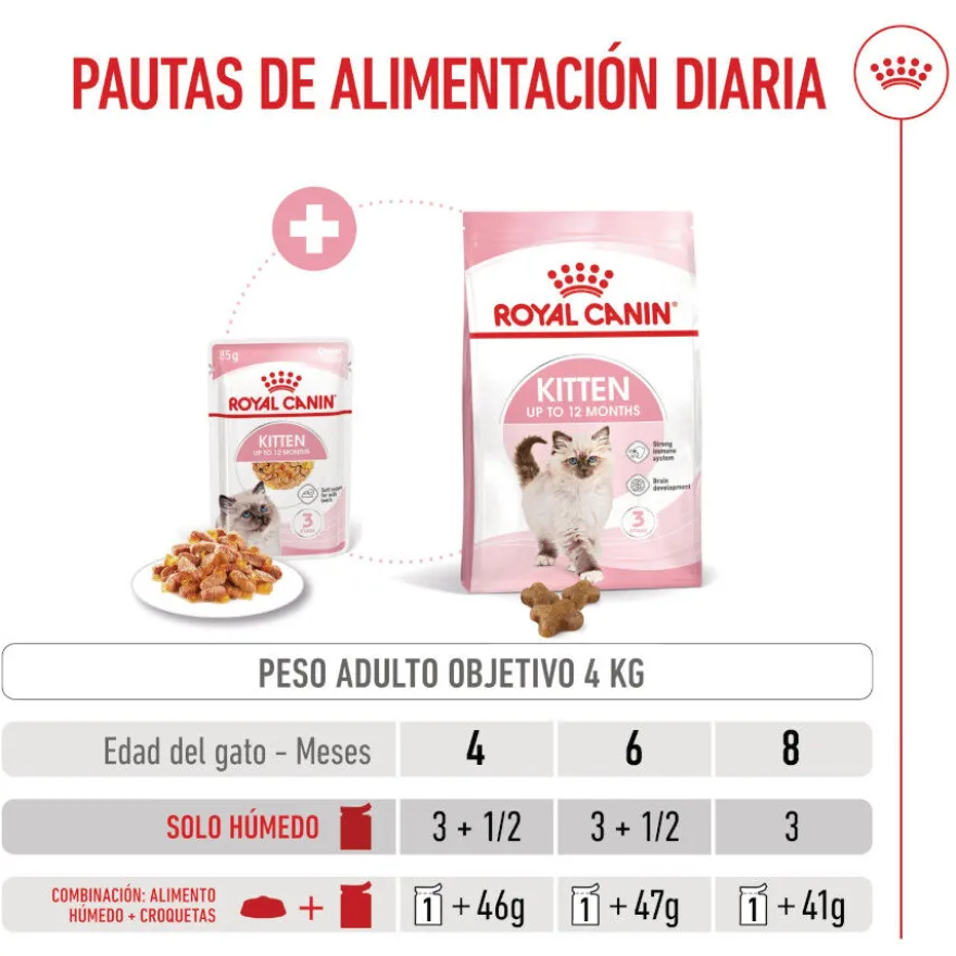 Royal Canin Kitten comida húmeda en gelatina sobre para gatos