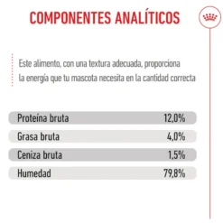 Royal Canin Kitten comida húmeda en gelatina sobre para gatos