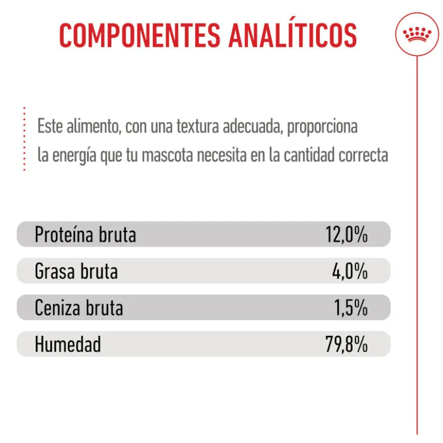 Royal Canin Kitten comida húmeda en gelatina sobre para gatos
