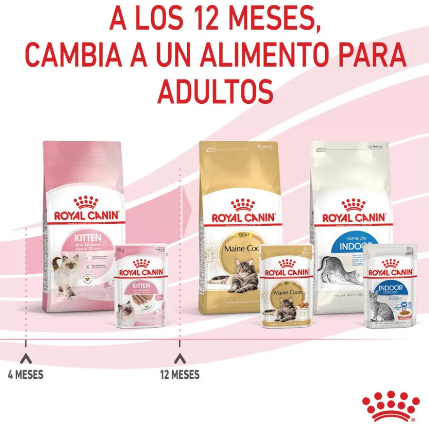 Royal Canin Kitten paté sobre para gatos