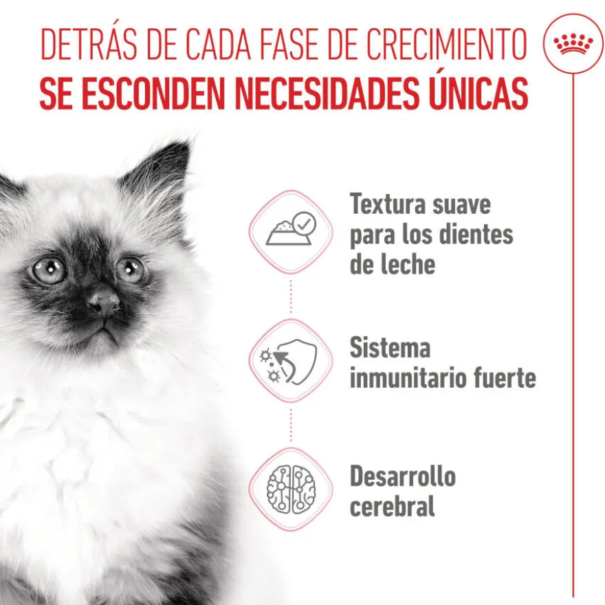 Royal Canin Kitten paté sobre para gatos