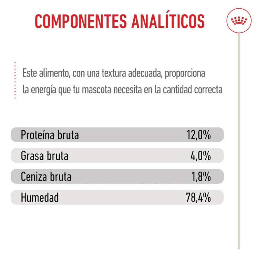 Royal Canin Kitten paté sobre para gatos