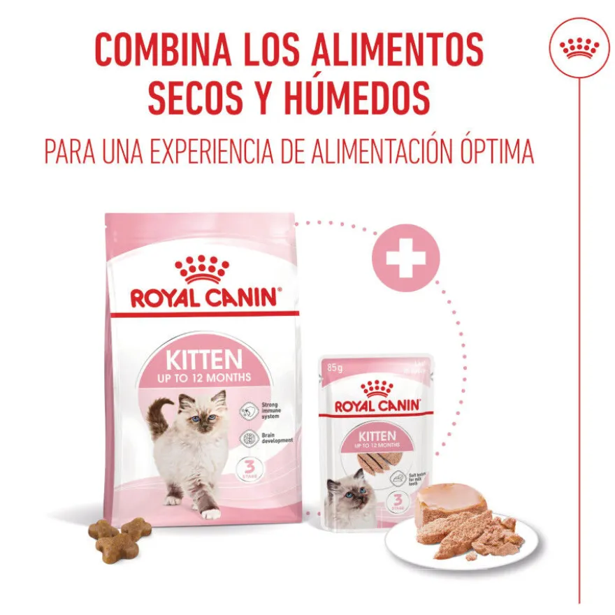 Royal Canin Kitten paté sobre para gatos