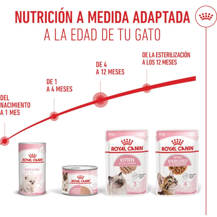 Royal Canin Kitten paté sobre para gatos
