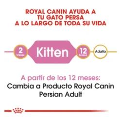 Royal Canin Kitten Persia pienso para gatos