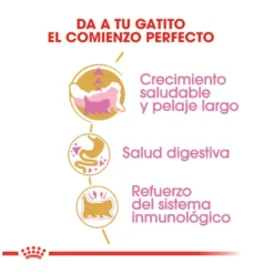 Royal Canin Kitten Persia pienso para gatos