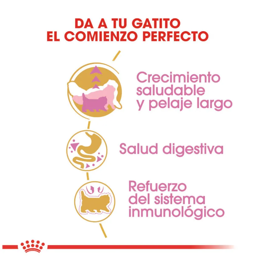 Royal Canin Kitten Persia pienso para gatos