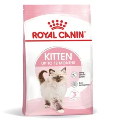 Royal Canin Kitten pienso para gatos