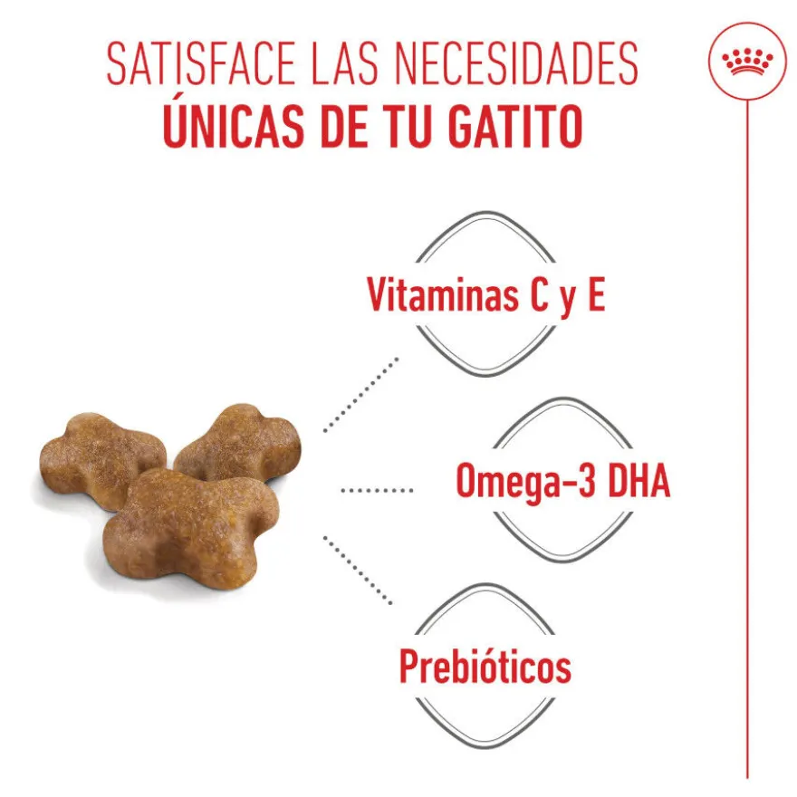 Royal Canin Kitten pienso para gatos