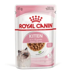 Royal Canin Kitten sobre en salsa para gatos
