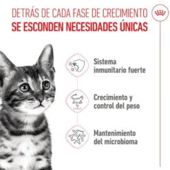Royal Canin Kitten Sterilised pienso para gatos
