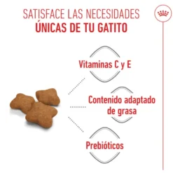 Royal Canin Kitten Sterilised pienso para gatos
