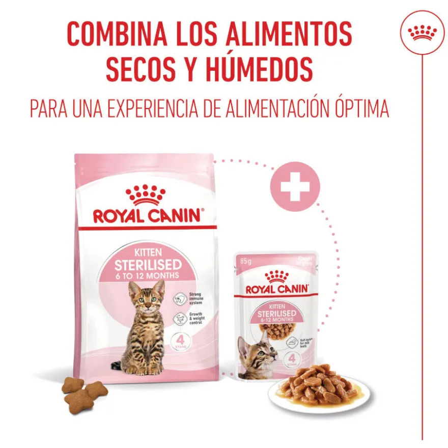 Royal Canin Kitten Sterilised pienso para gatos