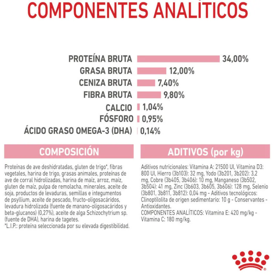 Royal Canin Kitten Sterilised pienso para gatos