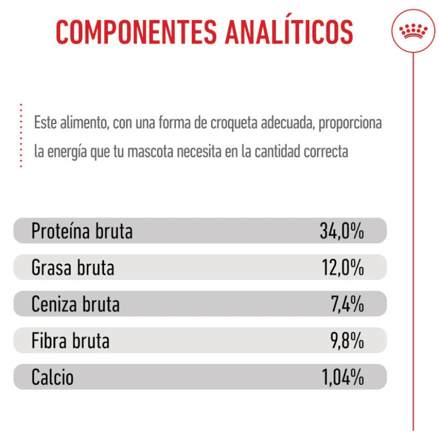 Royal Canin Kitten Sterilised pienso para gatos