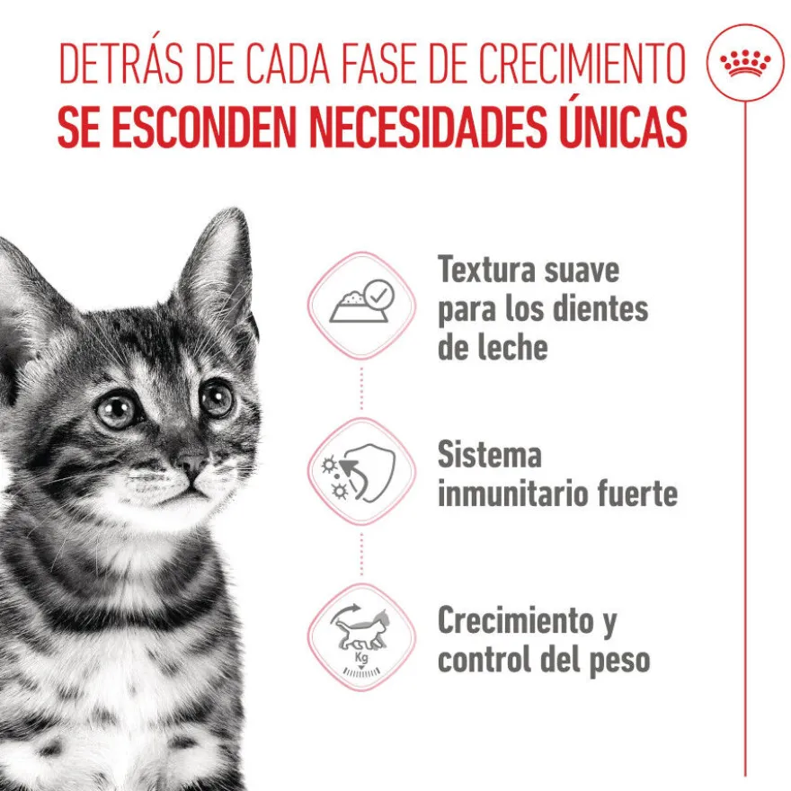Royal Canin Kitten Sterilised salsa sobre para gatos