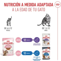 Royal Canin Kitten Sterilised salsa sobre para gatos