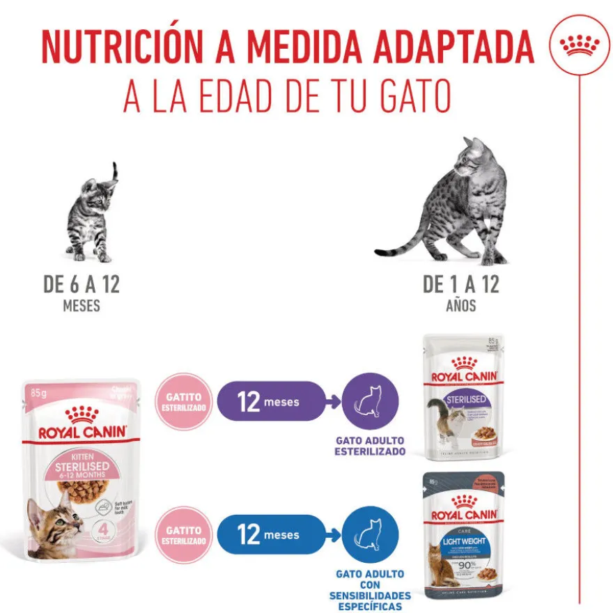 Royal Canin Kitten Sterilised salsa sobre para gatos