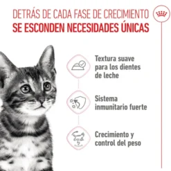 Royal Canin Kitten Sterilised gelatina para gatos