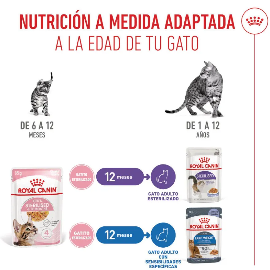 Royal Canin Kitten Sterilised gelatina para gatos