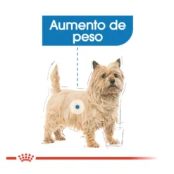 Royal Canin Light Weight Care Sobres Paté para perros
