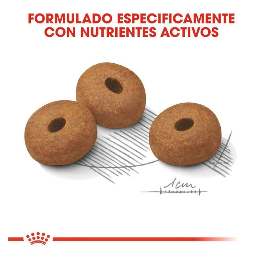 Royal Canin Light Weight Care Maxi pienso para perros