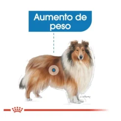 Royal Canin Light Weight Care Maxi pienso para perros