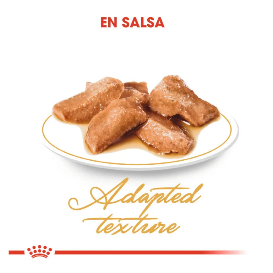 Royal Canin Maine Coon sobres para gatos